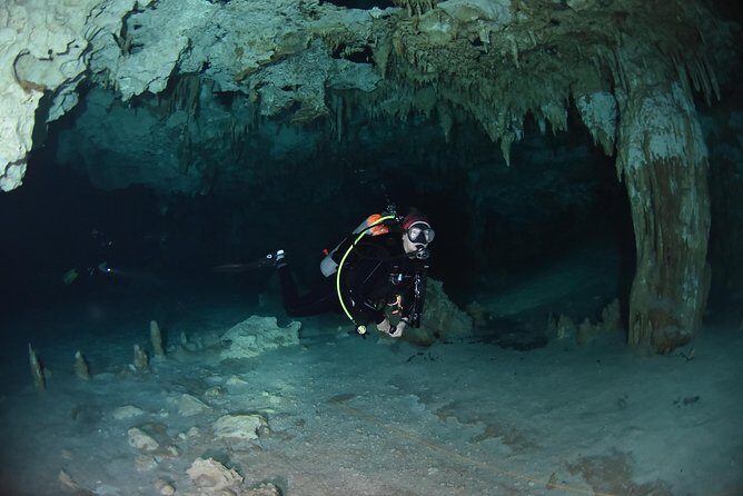 Tulum cenote diving. The ultimate experience in scuba - The Value and Price Analysis