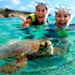 Tulum : Cenote Swim & Turtle Tour with Ruins Visit & Buffette - The Sum Up