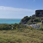 Tulum Cenotes Tour Experience - A Closer Look at the Tulum Cenotes Tour