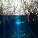 Tulum: Discover Scuba Diving in Cenotes - Why This Tour Is Worth Considering