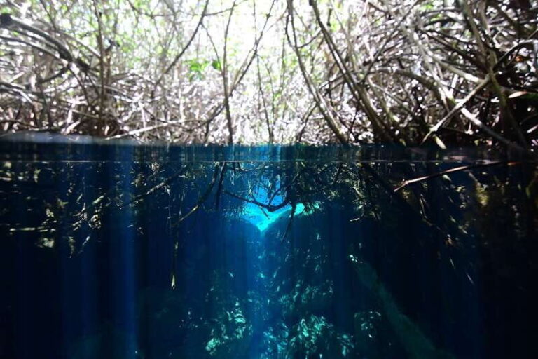 Tulum: Discover Scuba Diving in Cenotes - Why This Tour Is Worth Considering