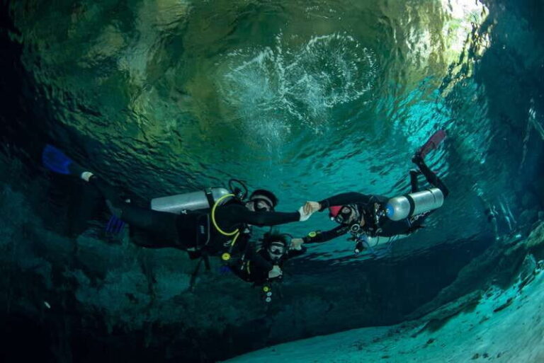 Tulum : Dos Ojos cenote 2 scuba dives (certified divers) - What to Expect: The Itinerary