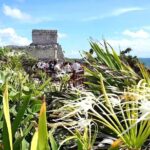 Tulum Express from Cancun and Riviera Maya - FAQs