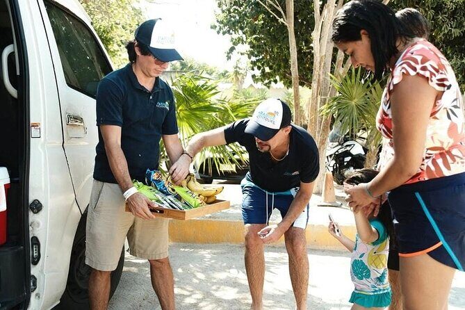 Tulum Half Day Plus Jaguar Park and Playa Paraíso Tour - FAQ