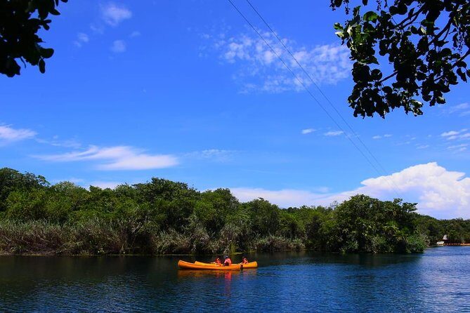 Tulum & Jungle Adventure Private Tour - Who Will Love This Tour?