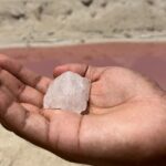 Tulum Las Coloradas and Rio Lagartos Pink Lagoon and Flamingos - What Travelers Say & Why It Matters