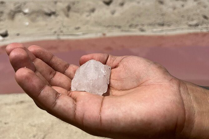 Tulum Las Coloradas and Rio Lagartos Pink Lagoon and Flamingos - What Travelers Say & Why It Matters