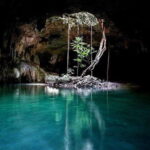 Tulum: Mayan Ruins and Snorkeling Adventure - Snorkeling in Front of Tulum’s Castle