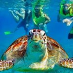 Tulum Mayan Ruins and Snorkeling with Turtles at Akumal - Authentic Experiences and Cultural Insights