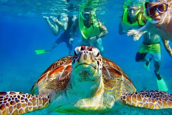 Tulum Mayan Ruins and Snorkeling with Turtles at Akumal - Authentic Experiences and Cultural Insights