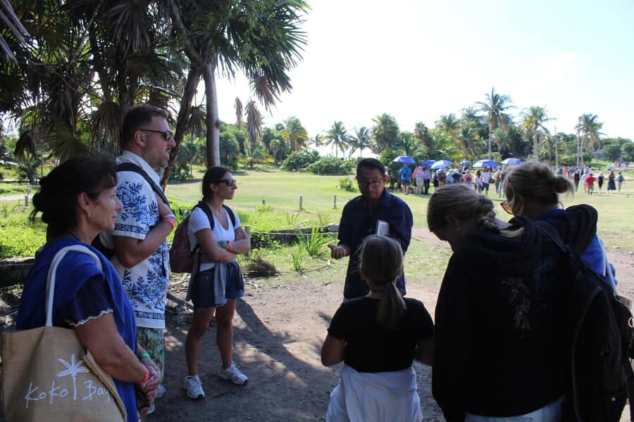 Tulum: Mayan Ruins, Snorkeling, and Jaguar Park Tour - The Itinerary in Detail: What You Can Expect