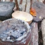 Tulum Monkey Sanctuary Tour Punta Laguna - Practical Details & Logistics