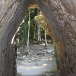 Tulum Multun-Ha Cenote Coba and Paradise Beach Private Tour - Moving on to Tulum: A Seaside Wonder