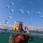 Tulum Platinum Tour with Akumal Turtles & Nohoch Cenote - What You’ll Need to Know Before Booking