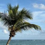 Tulum: Private Beach Photo and Video Session - What Travelers Say