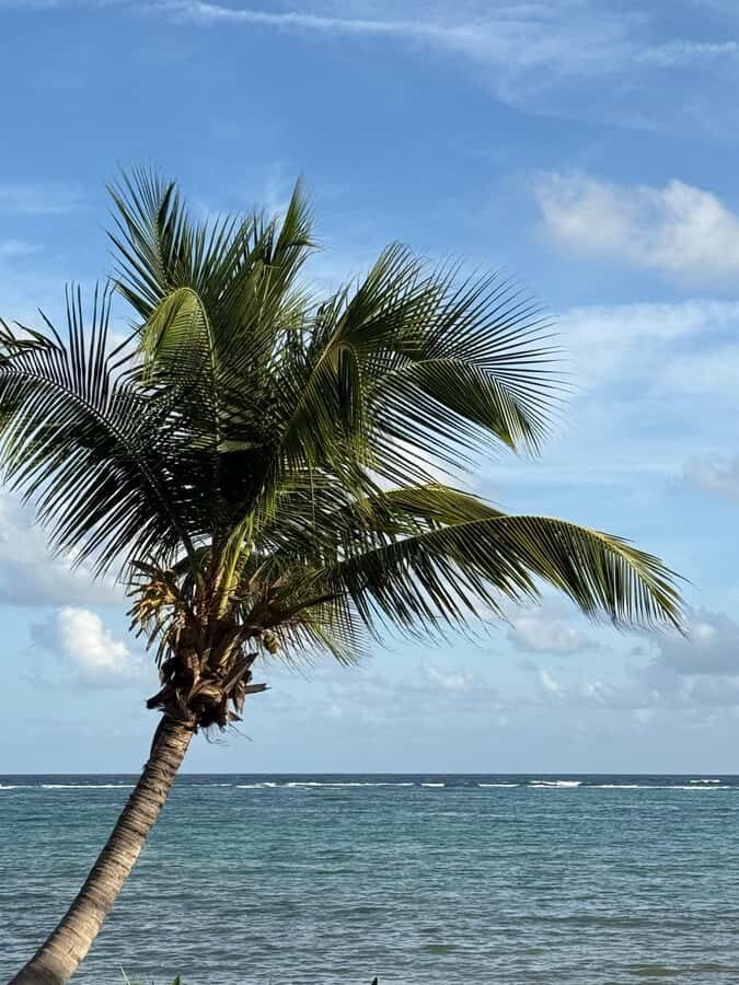 Tulum: Private Beach Photo and Video Session - What Travelers Say