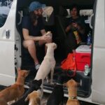 Tulum Private Transportation - What Does the Service Include?