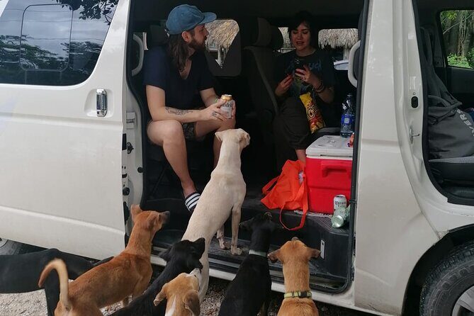 Tulum Private Transportation - What Does the Service Include?