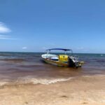 Tulum: Reef Snorkel Tour - Exploring the Itinerary: What You’ll Experience