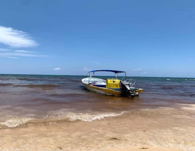 Tulum: Reef Snorkel Tour - Exploring the Itinerary: What You’ll Experience