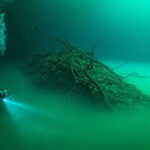 Tulum : Scuba in 2 cenotes including a deep one Pit Dos Ojos - Who Is This Tour Best For?