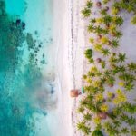 Tulum Sian Kaan Adventure : Dolphins, Turtles & Punta Allen - What’s Included and What’s Not