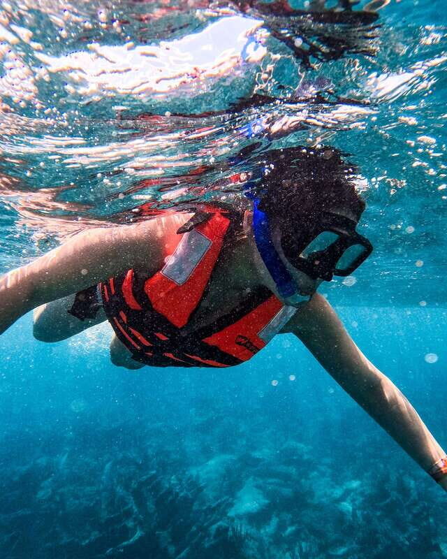 Tulum: Snorkeling at Paradise Reef - What’s Included and What’s Not