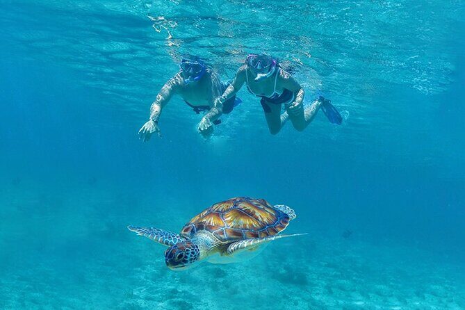 Tulum, Snorkeling with Sea Turtles, Cenote and Beachside Lunch - A Refreshing Swim in Cenote El Sueño