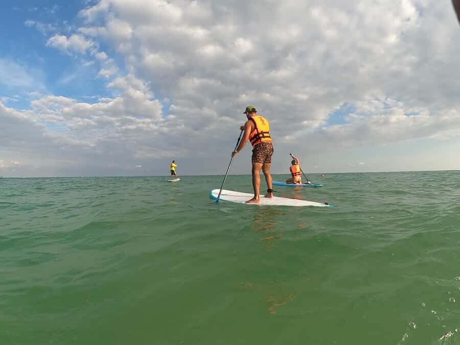 Tulum Stand-Up Paddleboard Tour - What to Expect: The Paddling Experience
