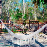 Tulum: Swim in Cenote Kaab Ha with Lunch - Exploring the Coba Ruins and Maya Community