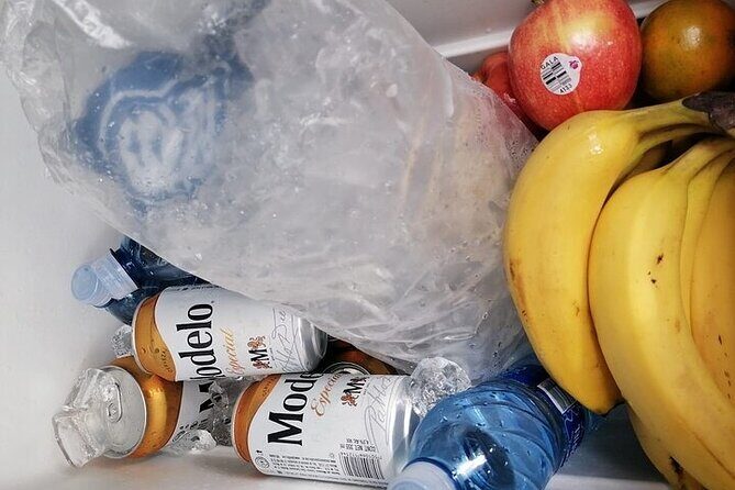 Tulum Transportation Service 24/7 The Most Reliable and safe. - Why Choose This Service?