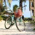 Tulum: Tulum National Park Guided Bike Tour - Who Should Book This Tour?