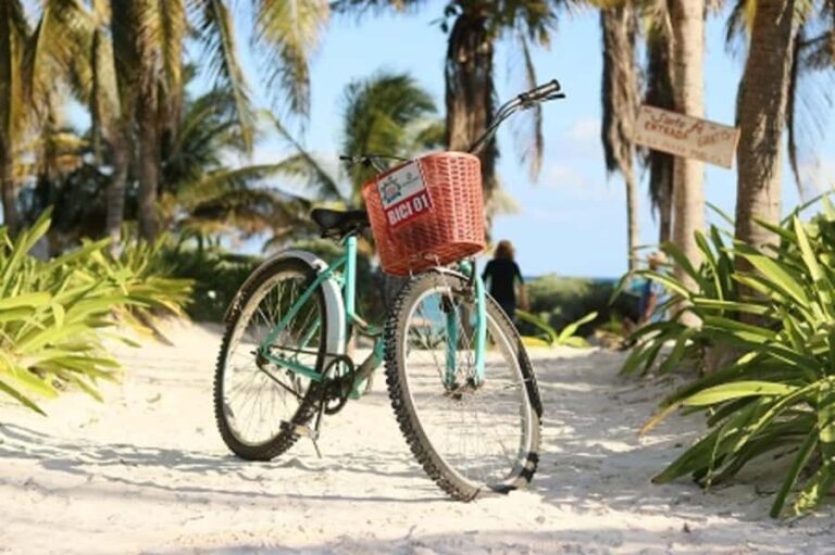 Tulum: Tulum National Park Guided Bike Tour - Who Should Book This Tour?