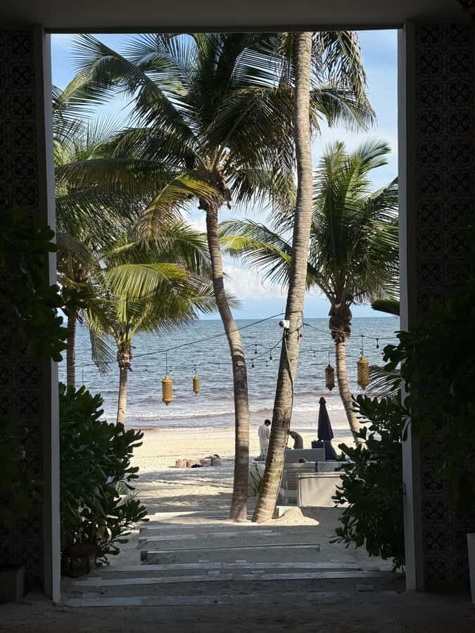 Tulum: Tulum Ruins and Sea Turtle Snorkeling Tour - Breakout of the Itinerary