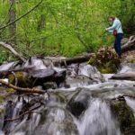 Turnagain Arm Highlights Photo Tour - The Itinerary in Detail