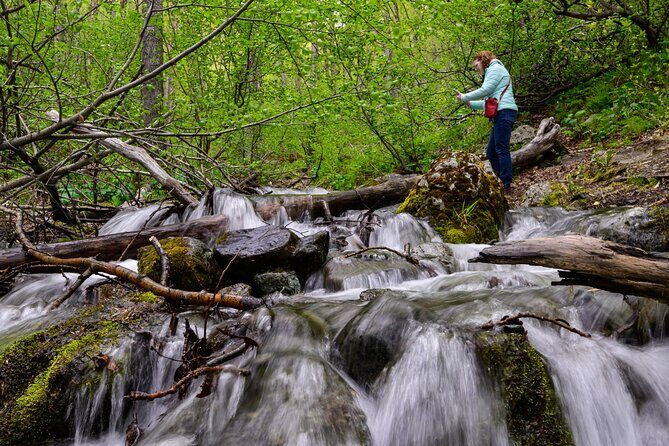 Turnagain Arm Highlights Photo Tour - The Itinerary in Detail