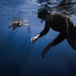 Turtle Canyon Snorkel in Waikiki, Oahu Semi Private - What to Expect: The Itinerary Breakdown