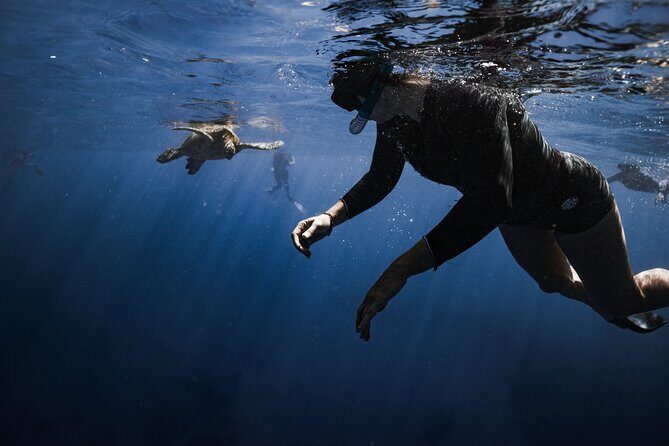 Turtle Canyon Snorkel in Waikiki, Oahu Semi Private - What to Expect: The Itinerary Breakdown