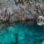 Turtle Encounter Private Tour  Swim with Sea Turtles & Cenote - Practical Considerations