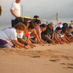 Turtle Release & Crocodile Watching in Ixtapa Zihuatanejo - What to Expect at Each Stop