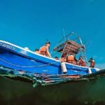 Turtle Sightseeing at Akumal & Underground Caves Tour - Snorkeling at Half Moon Bay