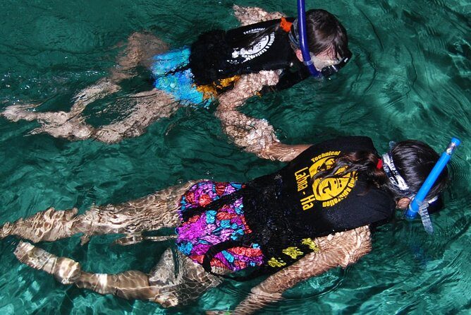 Turtle Snorkeling Adventure from Cancun - What Makes This Tour Stand Out?