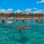 Turtle Snorkeling Jungle Adventure + Zipline and Rappel in Cenote - Final Thoughts