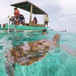 Turtle Swim, Lunch and Underground Cenote Private Tour - What’s Included and Whats Not