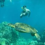 Turtle Town, Makena; Clear Bottom Kayak and Snorkel Tour - Real Traveler Experiences