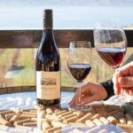 Two Day Private Wine and Bike Tour Vancouver to Kelowna - Day 2: Outdoor Adventure and Beach Relaxation