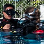 Two reef discovery dives with professional instructor (no experience necessary) - The Value for Money