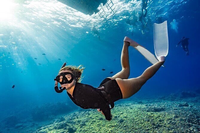 Two Site Snorkel Adventure featuring the Molokini Crater K2 - Final Thoughts