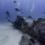 Two Tank Wreck and Drift Dive in Oahu - Who Will Love This Tour?