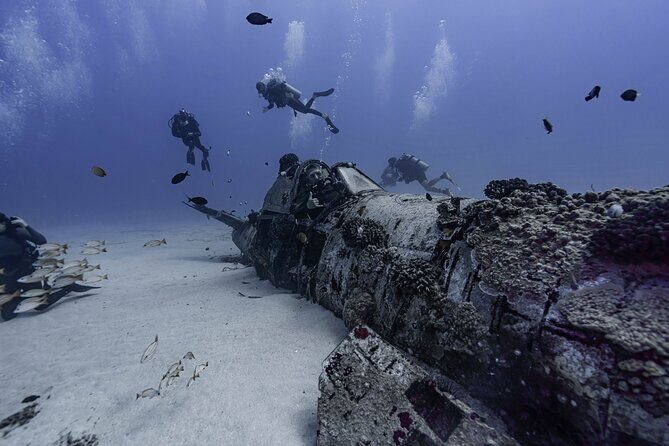 Two Tank Wreck and Drift Dive in Oahu - Who Will Love This Tour?